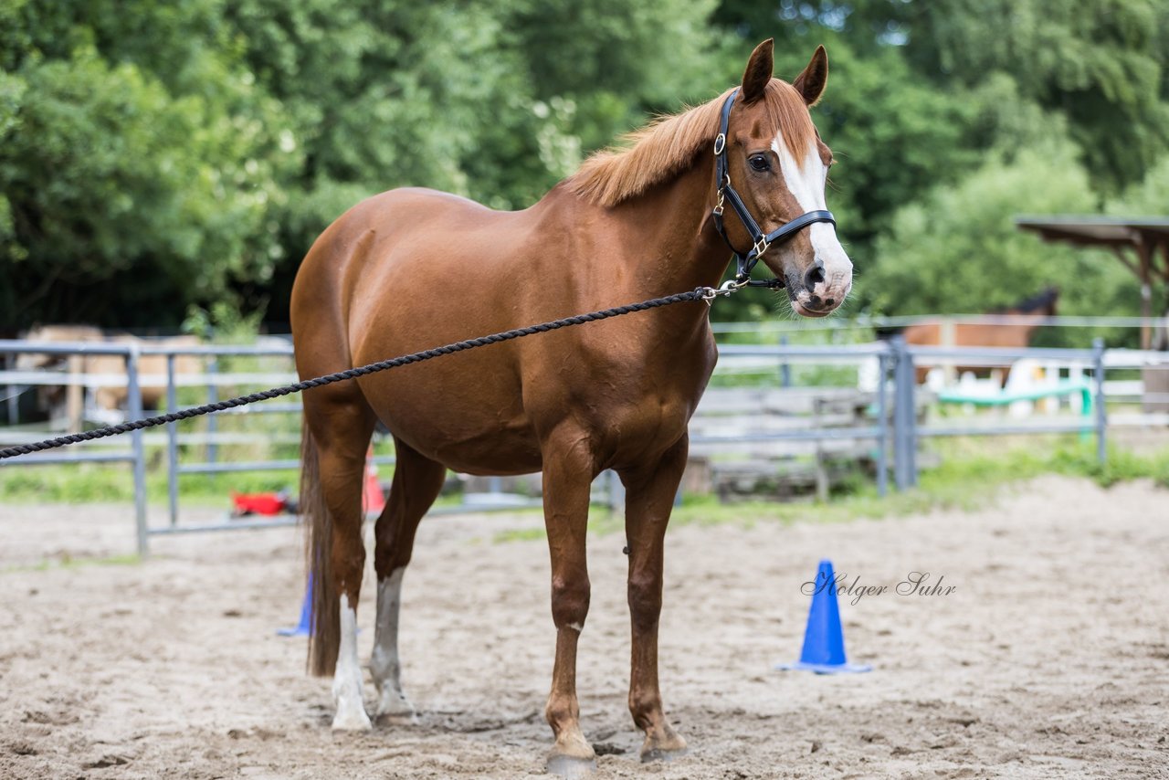 Bild 62 - Vivi